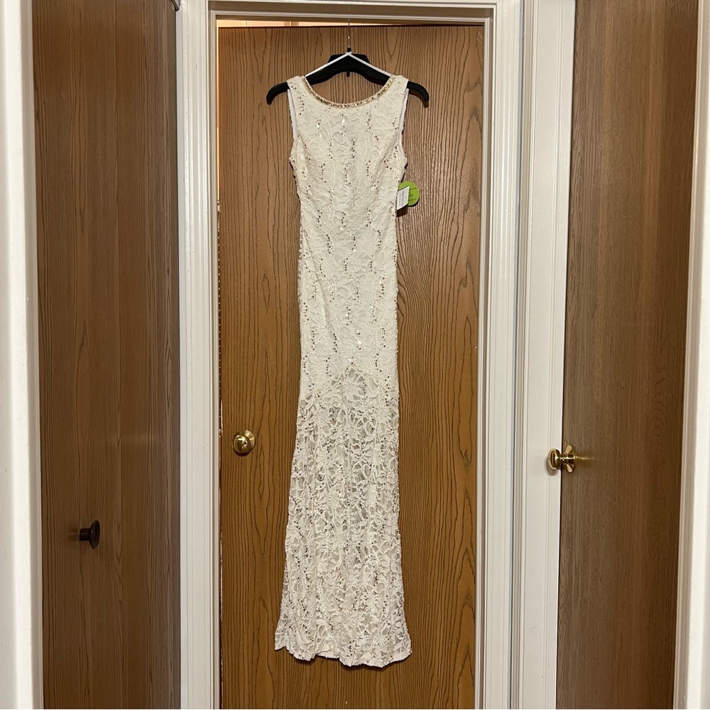 NWT Windsor Ivory and Gold Dress